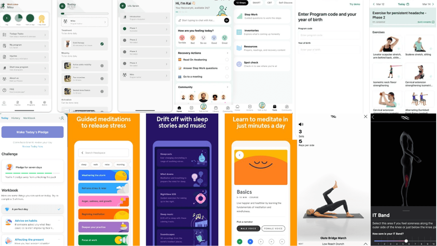 Competitive wellness app audit